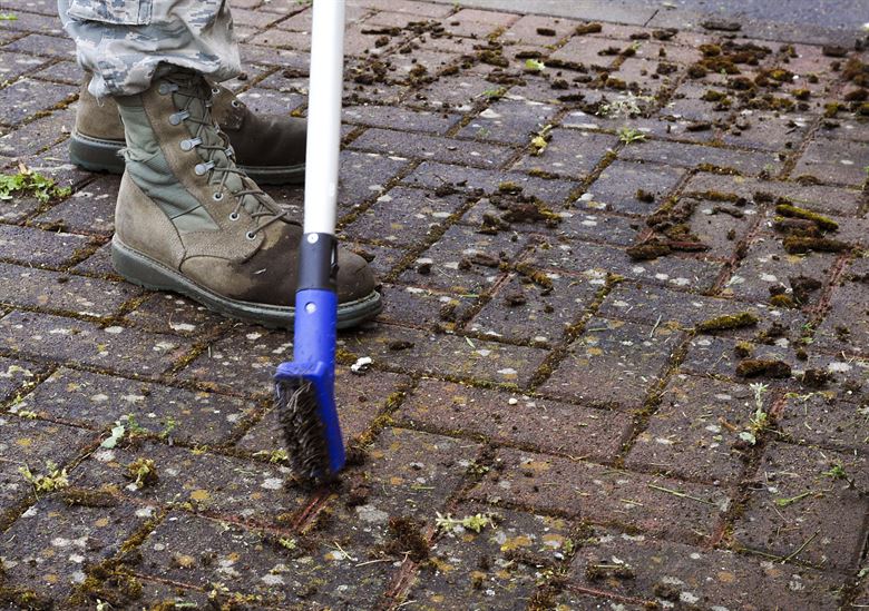 Algae, moss and mildew on your tiles? With this natural remedy it’s gone within no time!