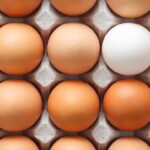 Top Doctor Reveals Why You Should Eat an Egg Every Day!