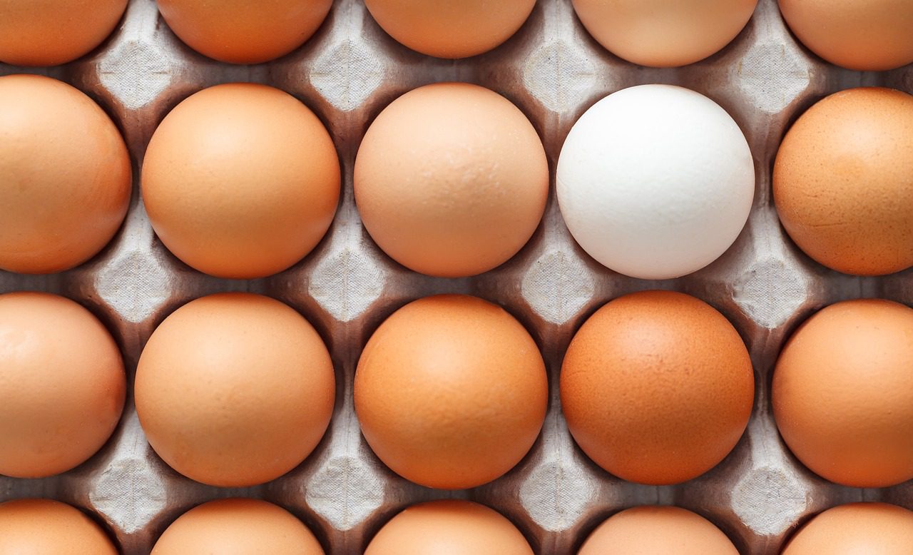 Top Doctor Reveals Why You Should Eat an Egg Every Day!