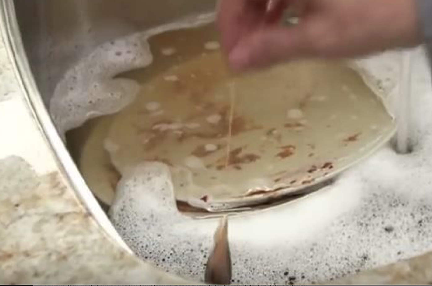 Amazing what happens if you put used tea bags in your sink with dirty dishes!