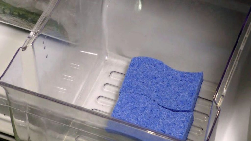This is why you should put a sponge in your refrigerator!