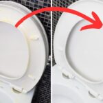 How To Remove Yellow Stains From Your Toilet Seat